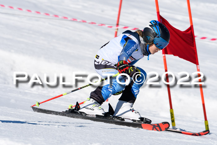 5. DSV Skitty Cup Alpin, 13.02.2022