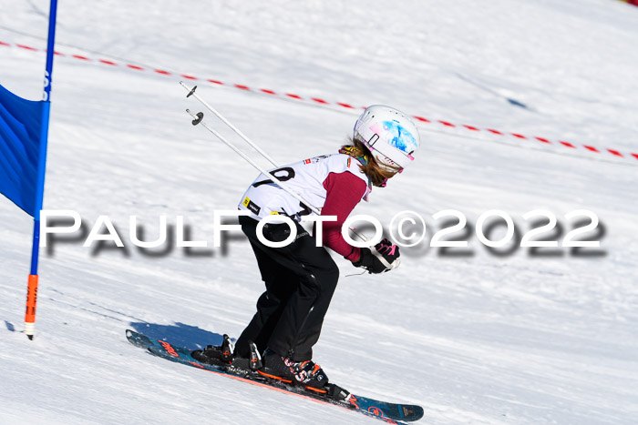 5. DSV Skitty Cup Alpin, 13.02.2022