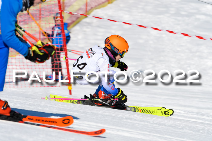 5. DSV Skitty Cup Alpin, 13.02.2022