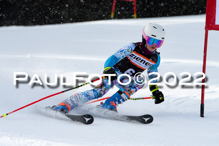 Ziener Kids Race Cross U12  Reg III + Ziener Cup WF