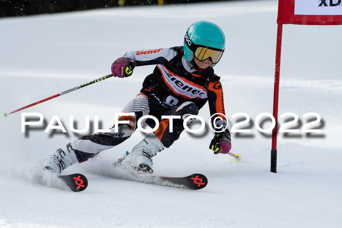 Ziener Kids Race Cross U12  Reg III + Ziener Cup WF