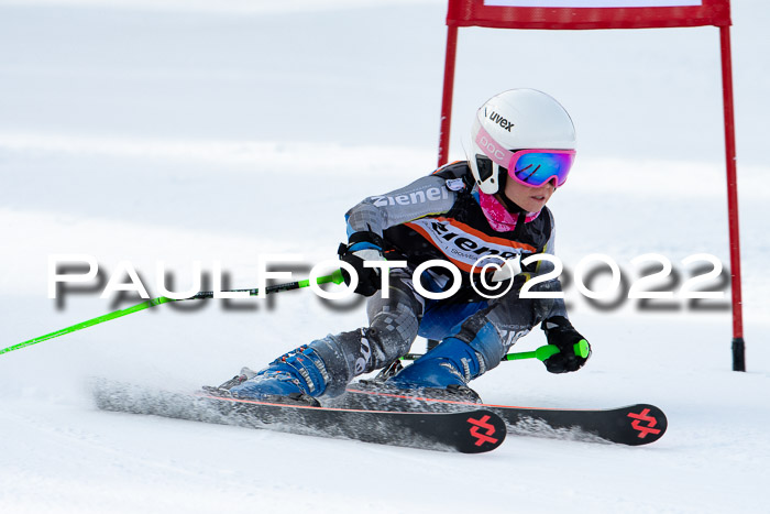 Ziener Kids Race Cross U12  Reg III + Ziener Cup WF