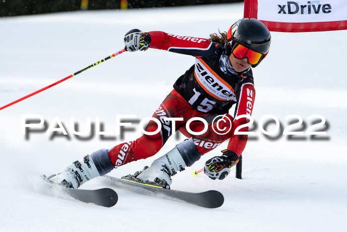 Ziener Kids Race Cross U12  Reg III + Ziener Cup WF