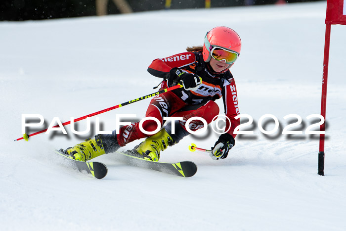 Ziener Kids Race Cross U12  Reg III + Ziener Cup WF