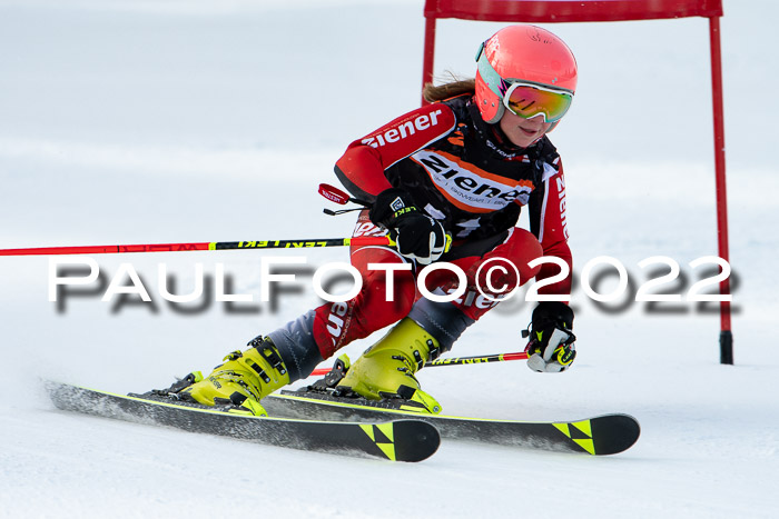 Ziener Kids Race Cross U12  Reg III + Ziener Cup WF