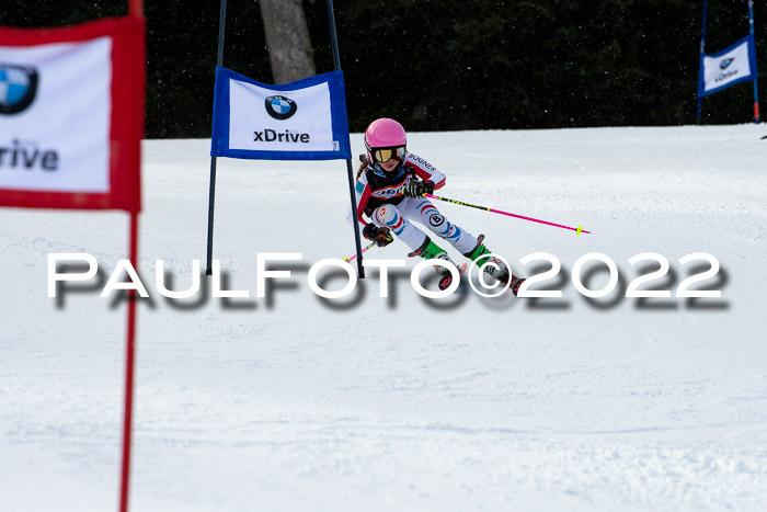 Ziener Kids Race Cross U12  Reg III + Ziener Cup WF