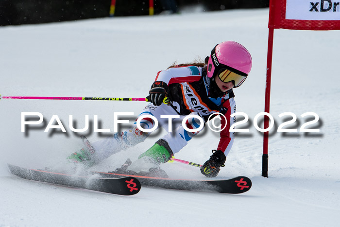 Ziener Kids Race Cross U12  Reg III + Ziener Cup WF