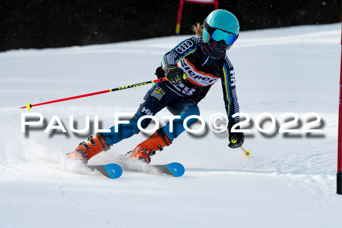 Ziener Kids Race Cross U12  Reg III + Ziener Cup WF