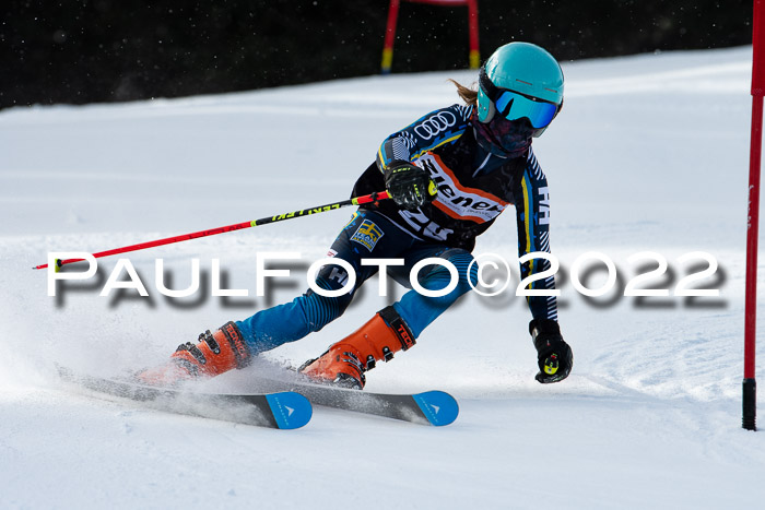 Ziener Kids Race Cross U12  Reg III + Ziener Cup WF