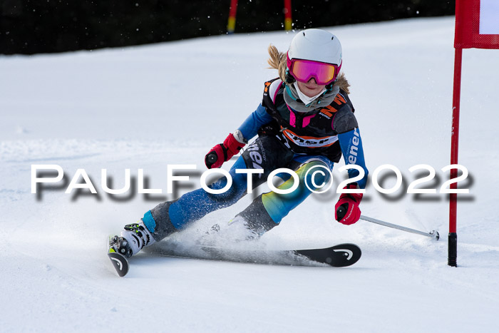 Ziener Kids Race Cross U12  Reg III + Ziener Cup WF