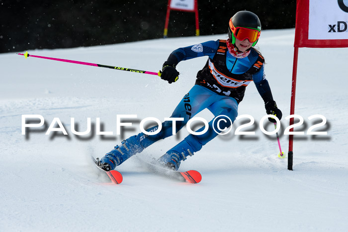 Ziener Kids Race Cross U12  Reg III + Ziener Cup WF