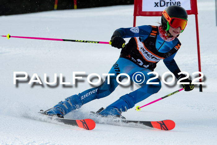 Ziener Kids Race Cross U12  Reg III + Ziener Cup WF