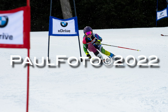 Ziener Kids Race Cross U12  Reg III + Ziener Cup WF