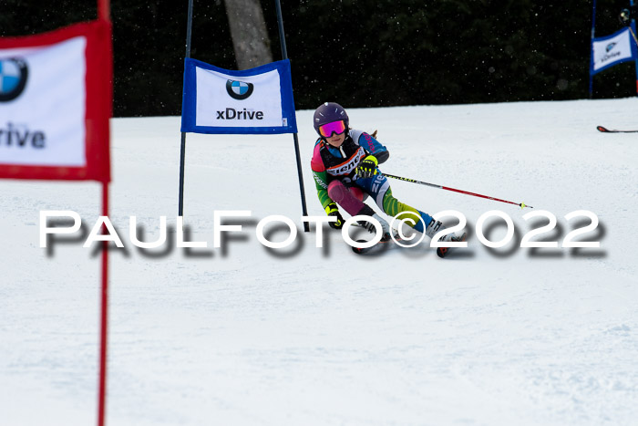 Ziener Kids Race Cross U12  Reg III + Ziener Cup WF