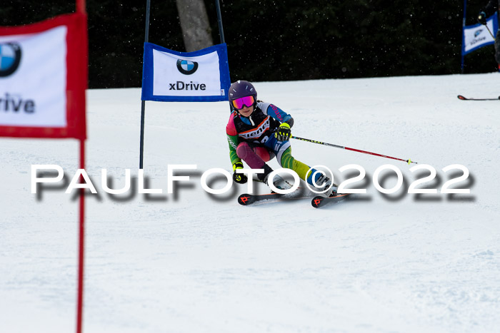 Ziener Kids Race Cross U12  Reg III + Ziener Cup WF