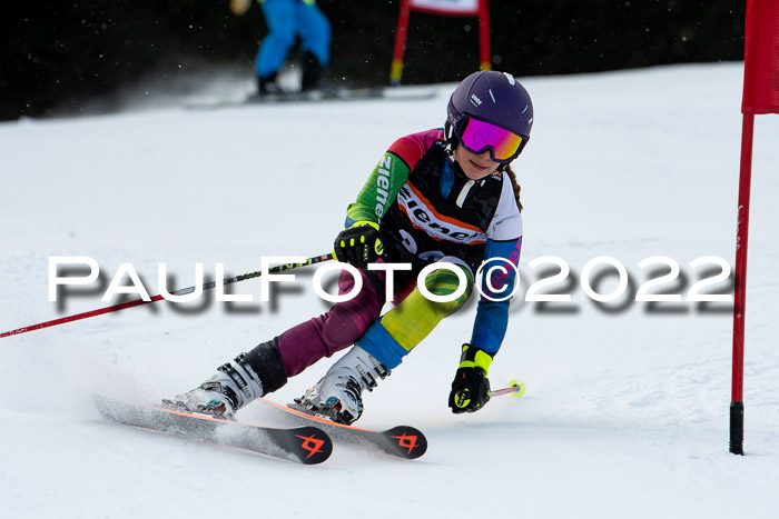 Ziener Kids Race Cross U12  Reg III + Ziener Cup WF