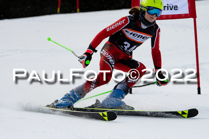 Ziener Kids Race Cross U12  Reg III + Ziener Cup WF