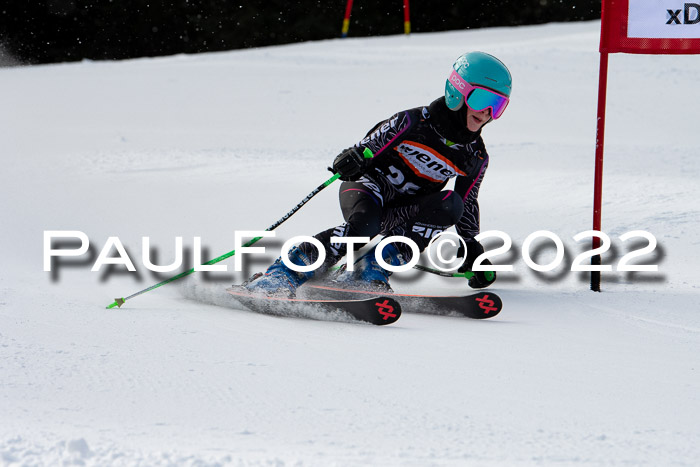 Ziener Kids Race Cross U12  Reg III + Ziener Cup WF