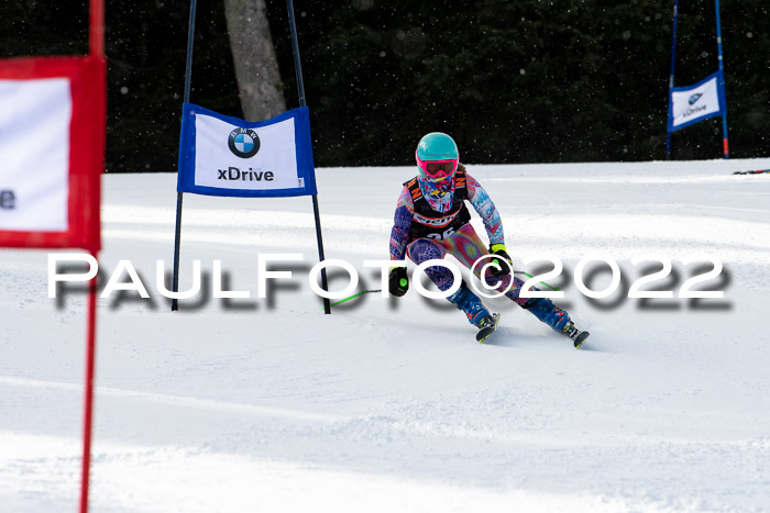 Ziener Kids Race Cross U12  Reg III + Ziener Cup WF