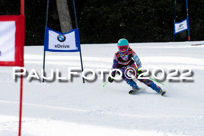 Ziener Kids Race Cross U12  Reg III + Ziener Cup WF