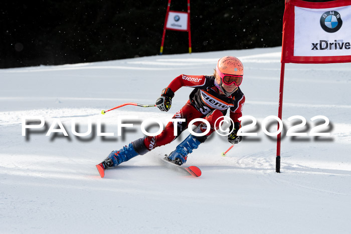 Ziener Kids Race Cross U12  Reg III + Ziener Cup WF