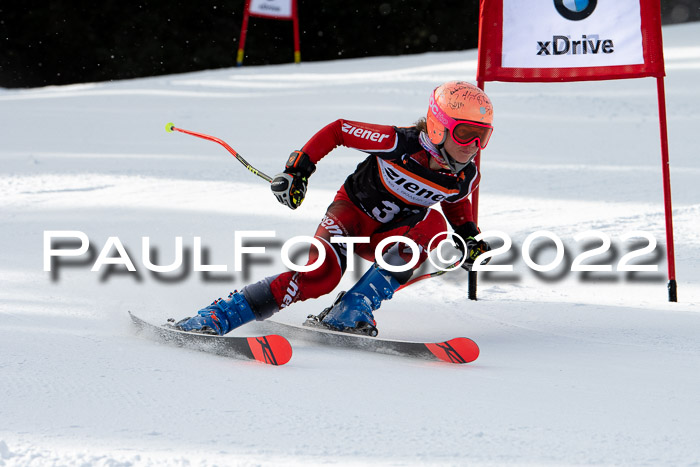 Ziener Kids Race Cross U12  Reg III + Ziener Cup WF