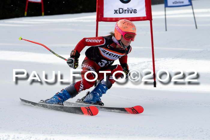 Ziener Kids Race Cross U12  Reg III + Ziener Cup WF