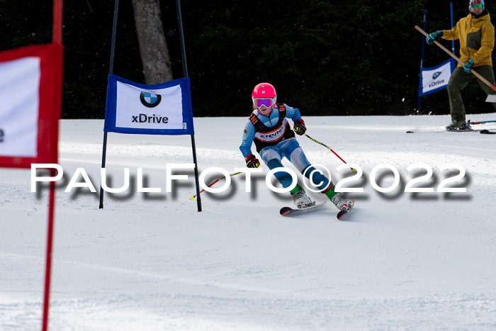 Ziener Kids Race Cross U12  Reg III + Ziener Cup WF