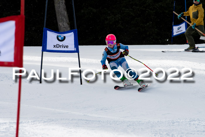 Ziener Kids Race Cross U12  Reg III + Ziener Cup WF