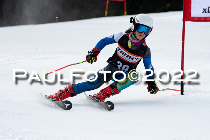 Ziener Kids Race Cross U12  Reg III + Ziener Cup WF