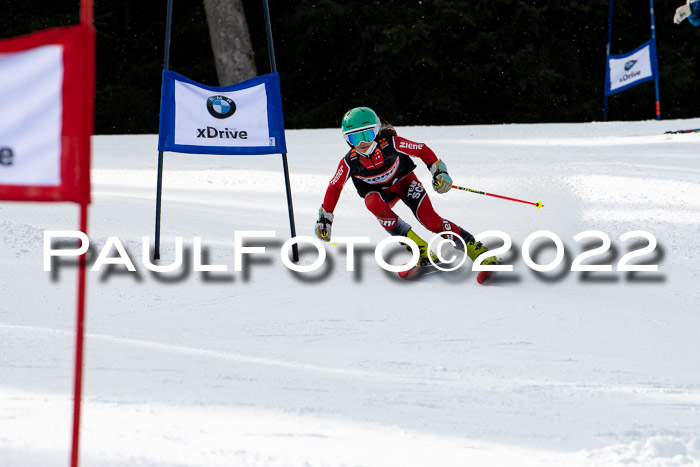 Ziener Kids Race Cross U12  Reg III + Ziener Cup WF