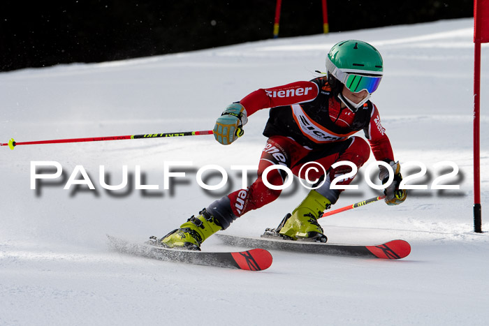 Ziener Kids Race Cross U12  Reg III + Ziener Cup WF