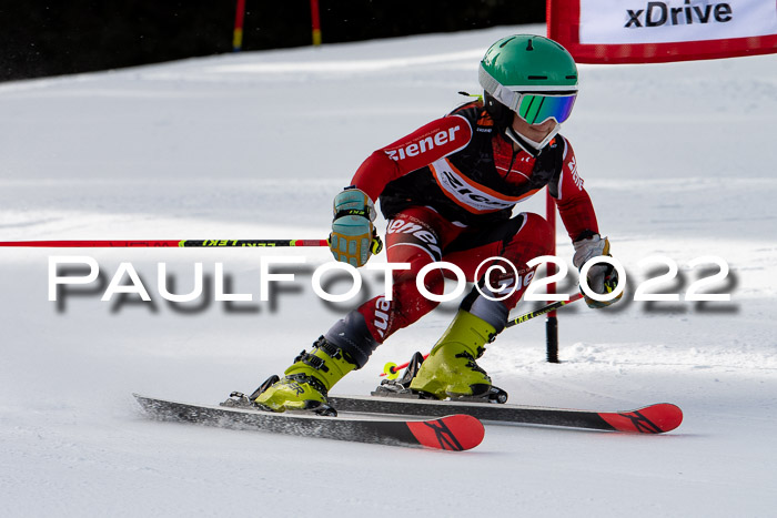 Ziener Kids Race Cross U12  Reg III + Ziener Cup WF