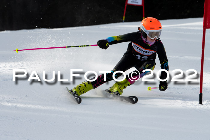 Ziener Kids Race Cross U12  Reg III + Ziener Cup WF