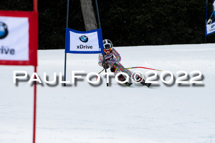 Ziener Kids Race Cross U12  Reg III + Ziener Cup WF