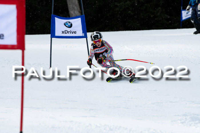 Ziener Kids Race Cross U12  Reg III + Ziener Cup WF