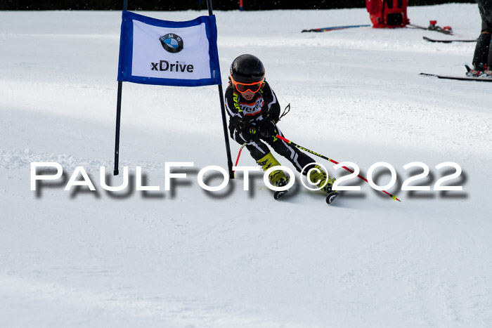 Ziener Kids Race Cross U12  Reg III + Ziener Cup WF