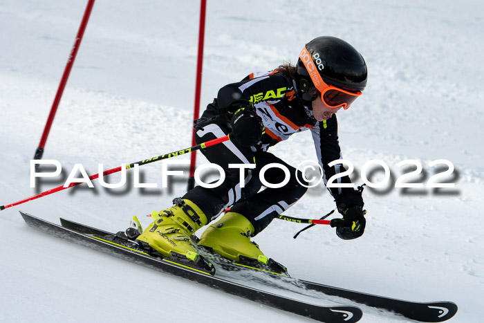 Ziener Kids Race Cross U12  Reg III + Ziener Cup WF