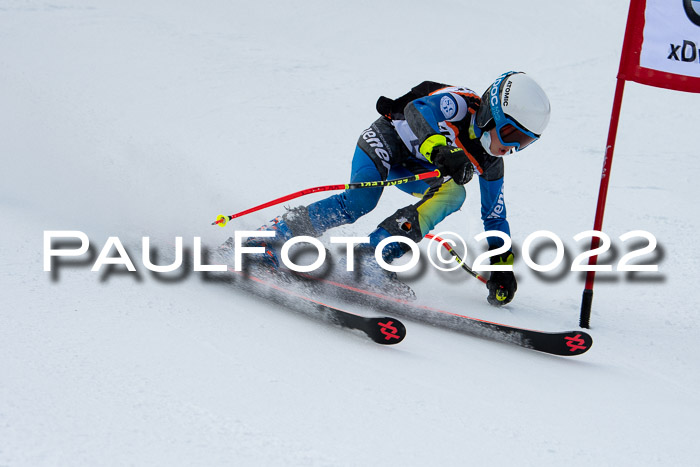 Ziener Kids Race Cross U12  Reg III + Ziener Cup WF