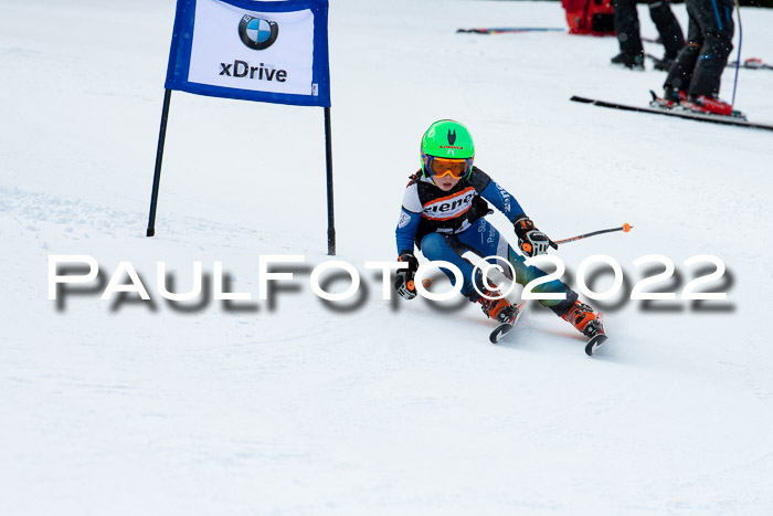 Ziener Kids Race Cross U12  Reg III + Ziener Cup WF