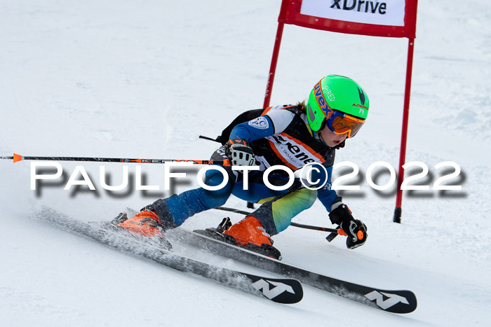 Ziener Kids Race Cross U12  Reg III + Ziener Cup WF