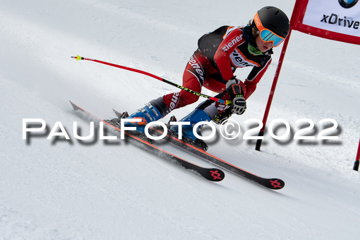 Ziener Kids Race Cross U12  Reg III + Ziener Cup WF