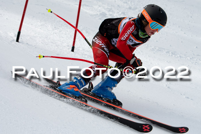 Ziener Kids Race Cross U12  Reg III + Ziener Cup WF