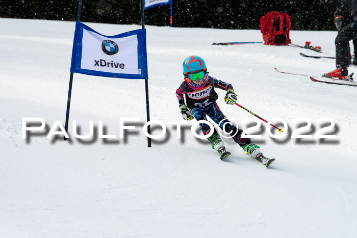 Ziener Kids Race Cross U12  Reg III + Ziener Cup WF