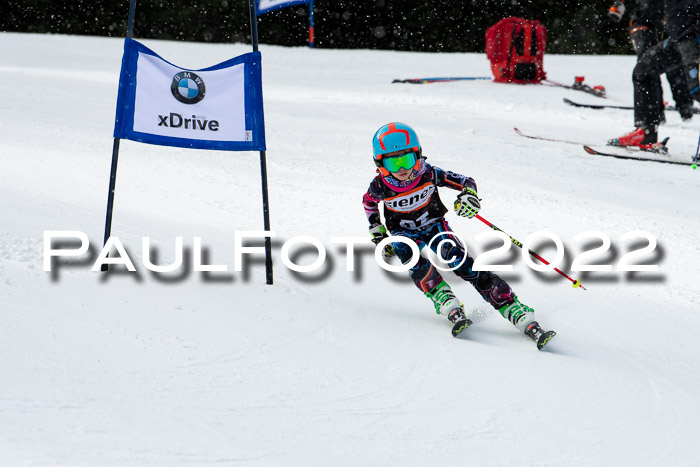 Ziener Kids Race Cross U12  Reg III + Ziener Cup WF