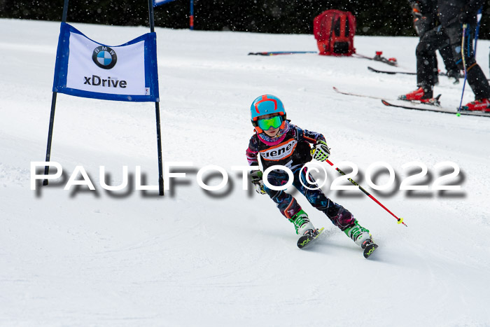 Ziener Kids Race Cross U12  Reg III + Ziener Cup WF