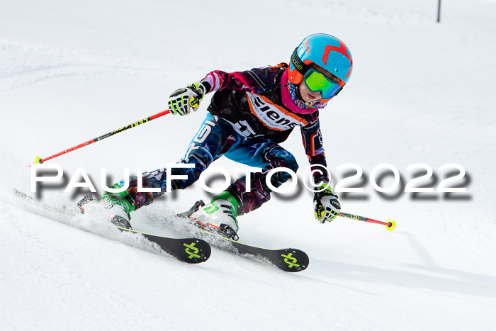 Ziener Kids Race Cross U12  Reg III + Ziener Cup WF