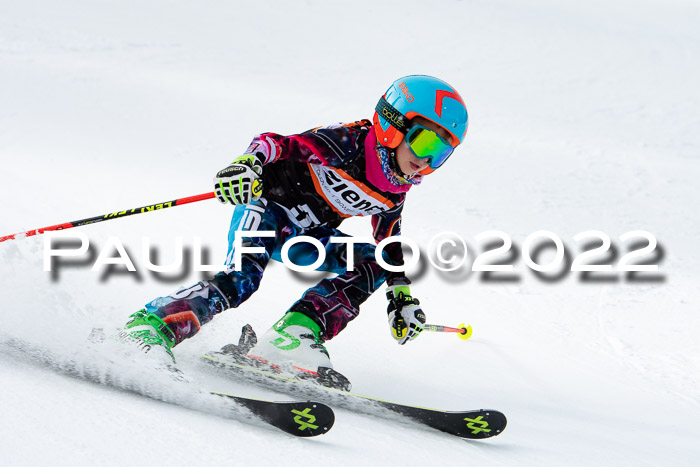 Ziener Kids Race Cross U12  Reg III + Ziener Cup WF