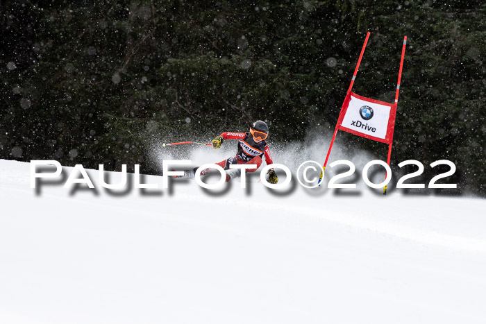 Ziener Kids Race Cross U12  Reg III + Ziener Cup WF