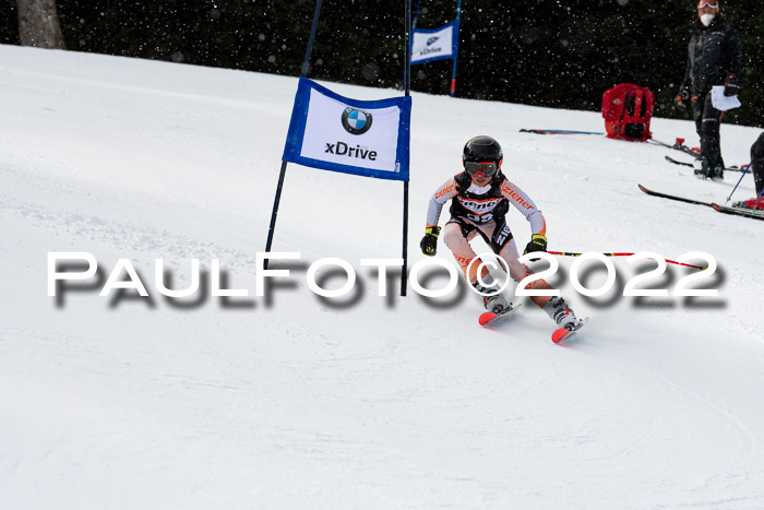 Ziener Kids Race Cross U12  Reg III + Ziener Cup WF